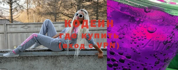 хмурый Бородино