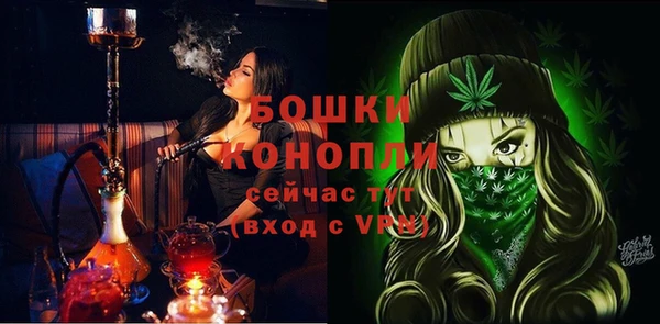 хмурый Бородино