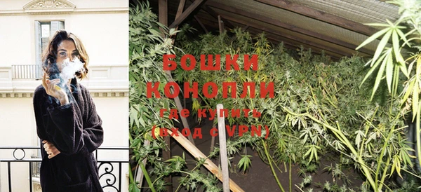 хмурый Бородино